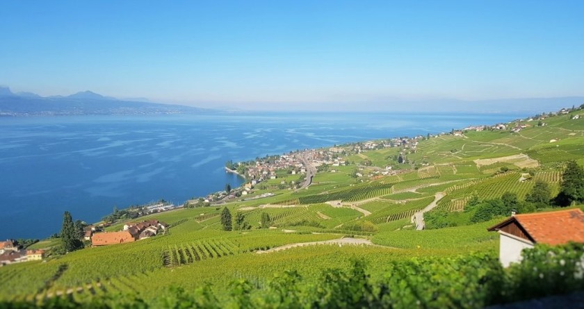 After departure from Lausanne the train will ascend above Lake Geneva