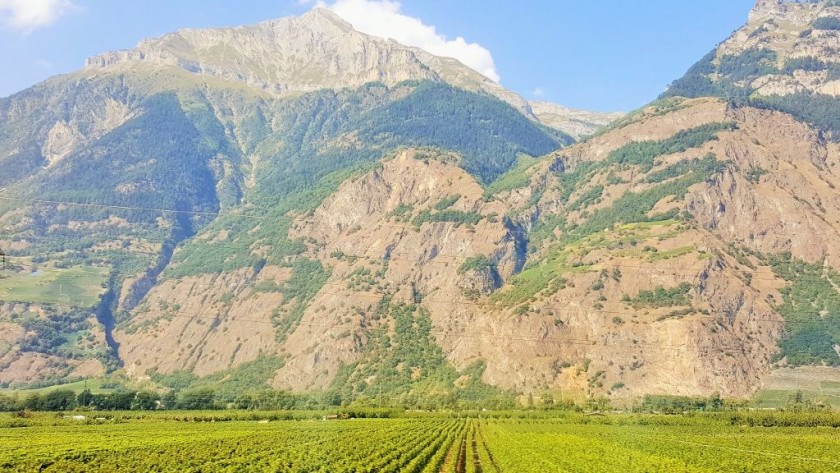 Travelling through the vineyards between Sion and Visp