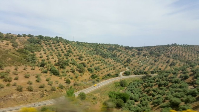 A typical view of the rolling hills which can be seen from both sides of the train