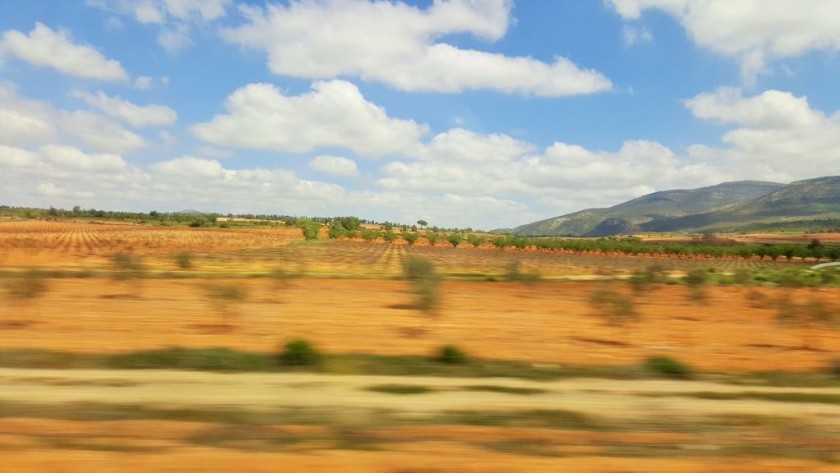 This image captures the sense of speed as the train rushes across the landscape