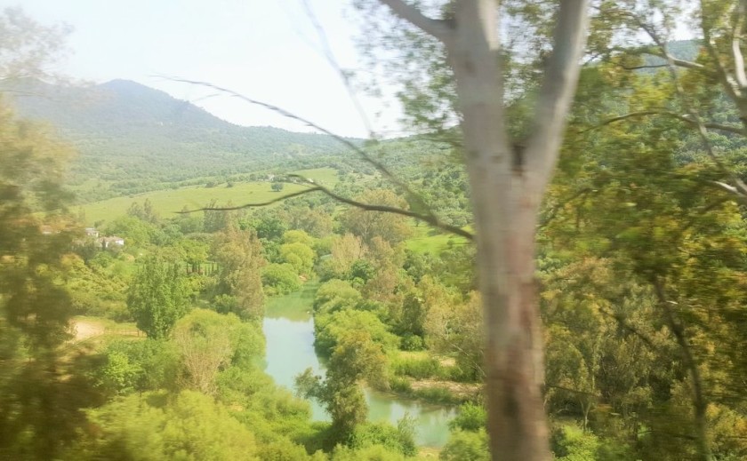 As the train threads through the valleys west of Ronda, rivers can be glimpsed through the trees