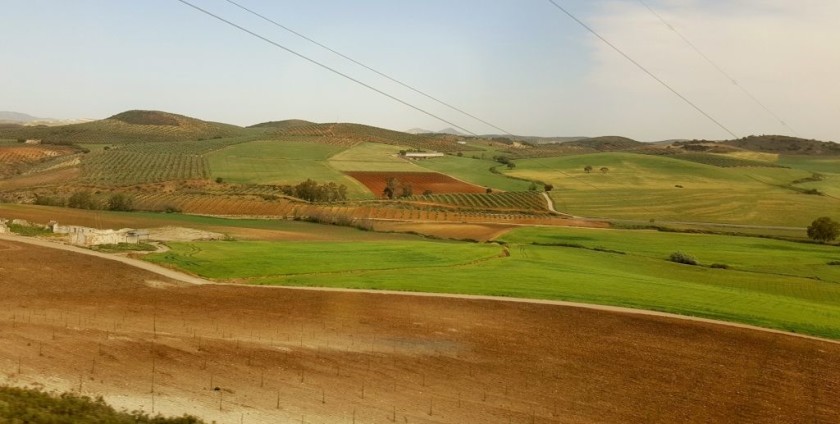 The train climbs through the hills as it nears Ronda