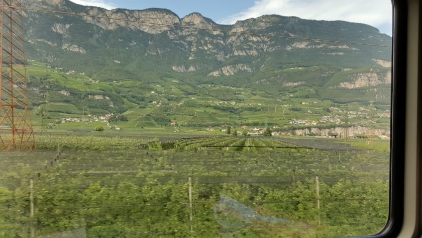 Before and after Bolzano, vineyards can be seen from both sides of the train