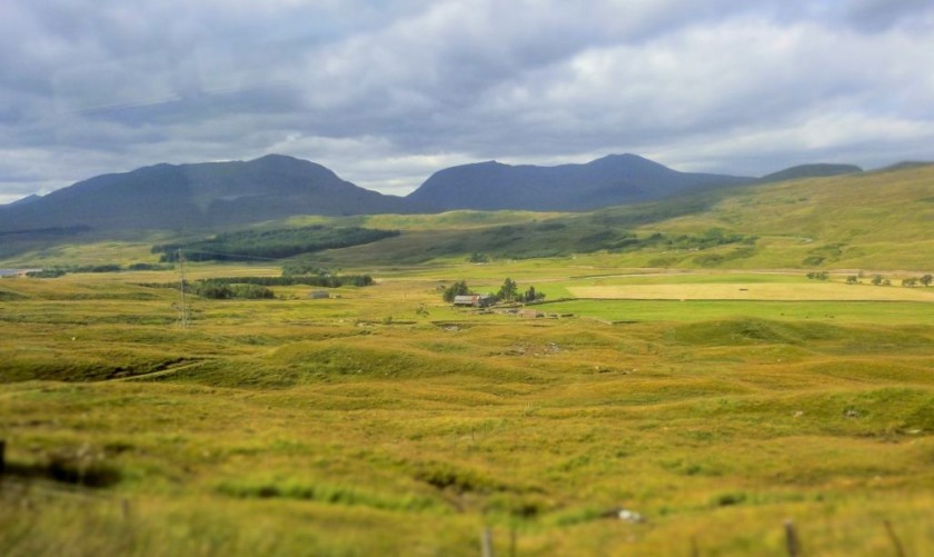 This image was captured near Bridge Of Orchy station