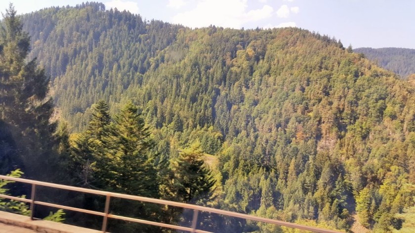 Heading for Offenburg may seem random, but it's a great base for exploring The Black Forest by train
