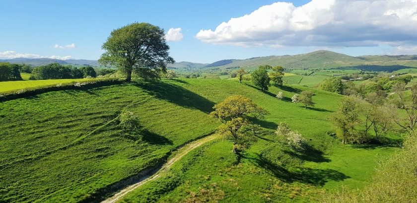 To the north of Oxenholme-Lake District station