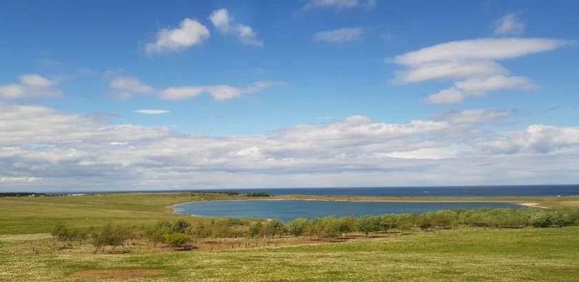 By the sea to the south of Dunbar