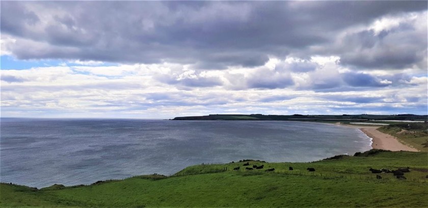 Looking down on spectacular Lunan Bay