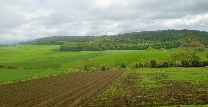 Between Kirkcaldy and Leuchars the train travels through rolling countryside