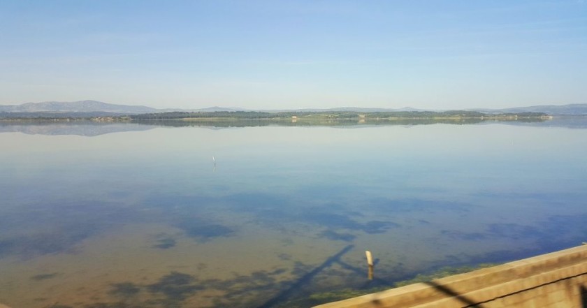 From the left of the train between Narbonne and Perpignan