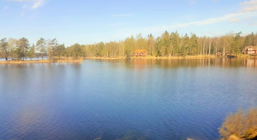 A typical lakeside view from a Stockholm to Copenhagen train