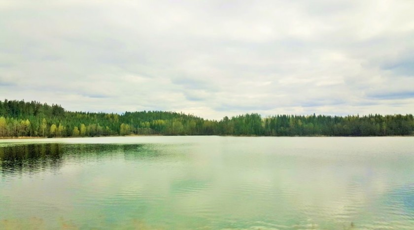 A typical lakeside view on the Stockholm to Goteborg train journey