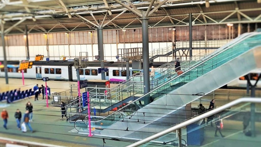 Escalators connect the platforms to the bridge, they usually lead upwards