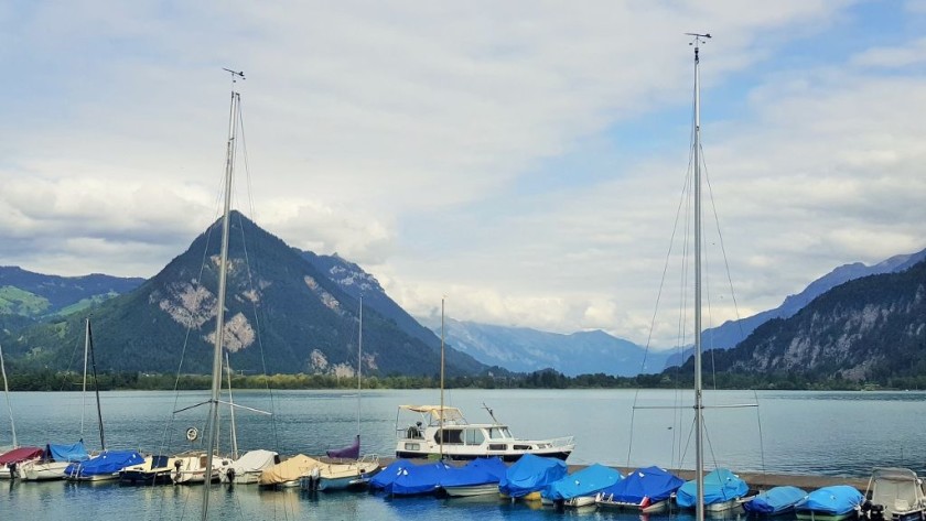 The view over Lake Thun #1