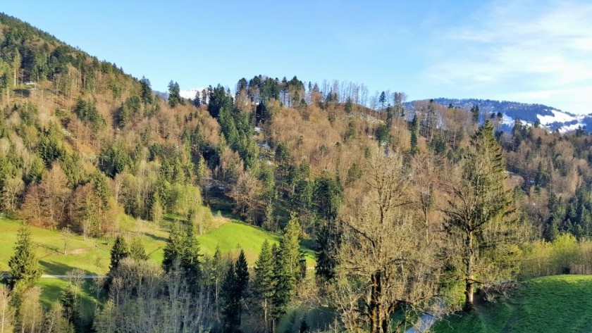 Heading to Lindau through the foothills of The Bavarian Alps