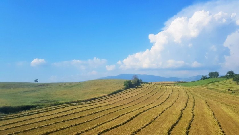 Flashing through the countryside on the Rome to Naples high speed line