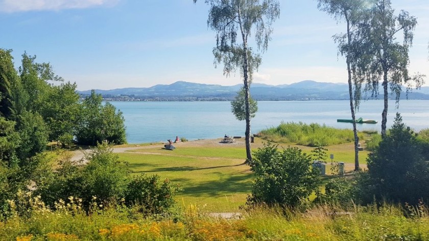 A final glimpse of the lake after Pfaffikon station