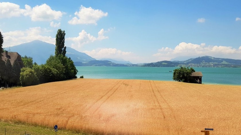 Distant views over Lake Zug can be seen for around 10 mins