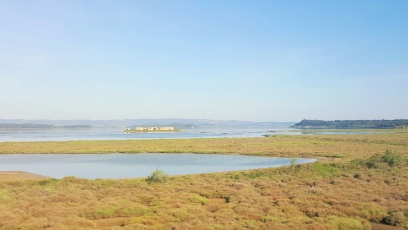 From the left of the train between Narbonne and Perpignan 