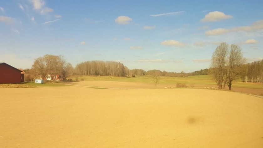 Swedish farm land in summer time