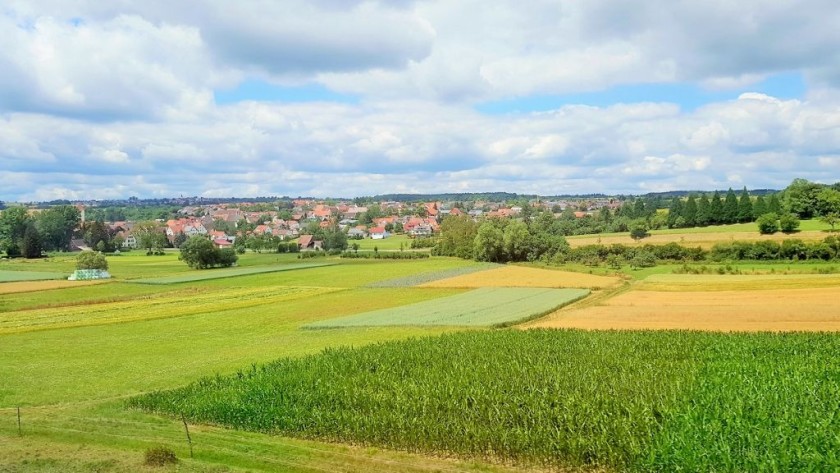 A typical vista over the German countryside as the train heads north
