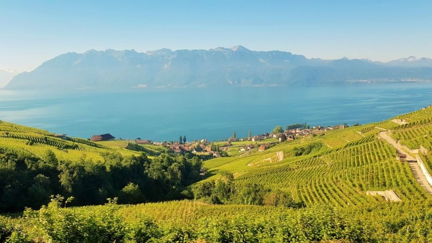 The stunning view of Lake Geneva from the right on trains on route IC 1