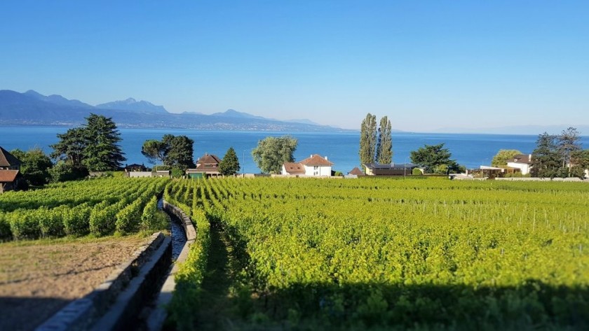 The trains get closer to Lake Geneva after Lausanne