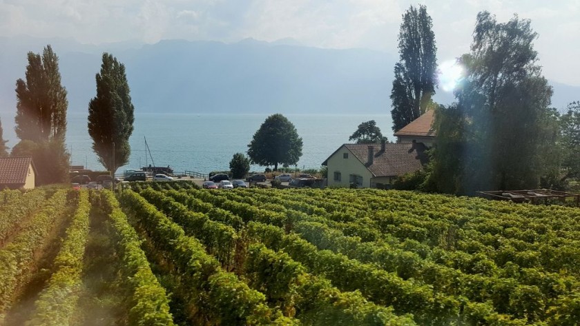 Looking towards Lake Geneva