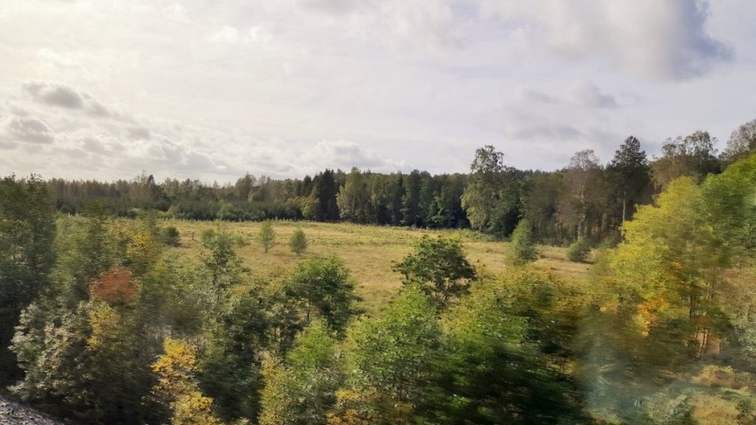 The trains heads into a forest as it nears Norway