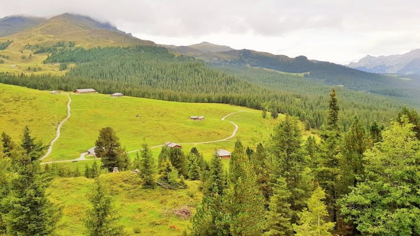 From the right when heading UP to Kleine Scheidegg #1