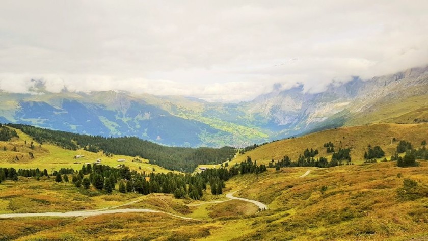 From the right when heading UP to Kleine Scheidegg #4