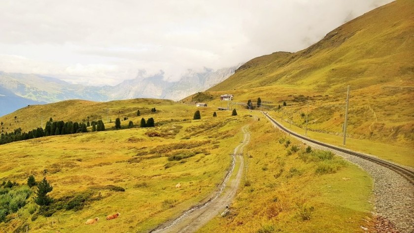 From the right when heading UP to Kleine Scheidegg