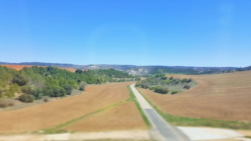 You can see views to distant mountains from both sides of the train