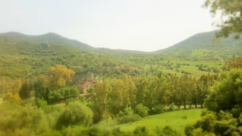 West of Ronda the train travels through forested gorges and valleys