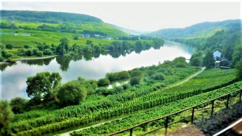 Moselle Valley by train