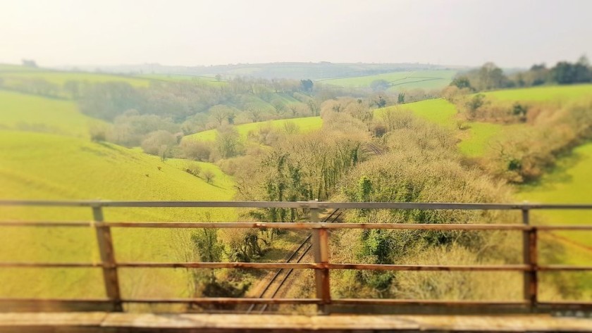 Looking down on the railway to Looe approaching Liskeard