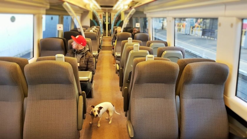 SMTJ is often accompanied on trips around Britain by Pear the rescue dog
