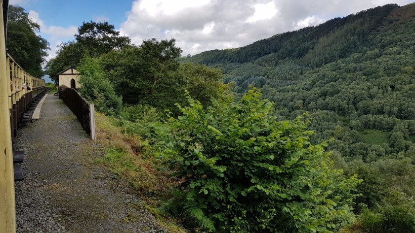 Through the Vale of Rheidol by steam train