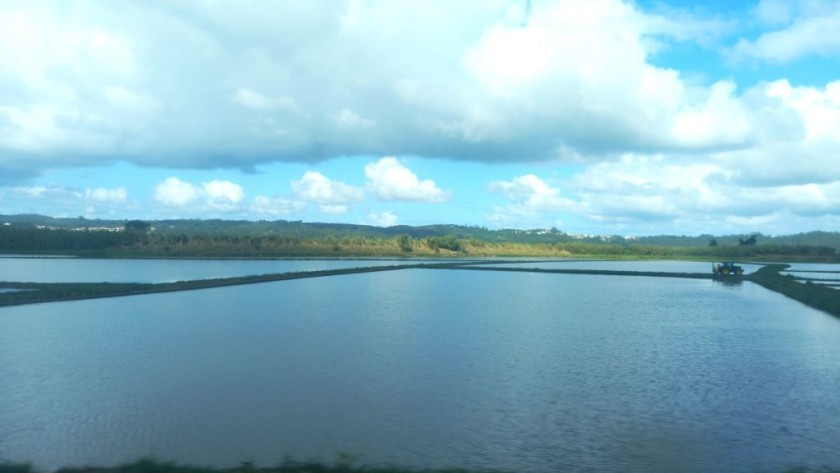 A view from the window of a train from Lisbon to Porto