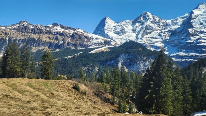 Looking towards the Eiger, the Monch and the Jungfrau from the BLM train
