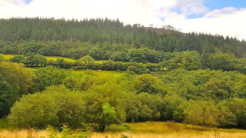 From a train on the Cambrian line