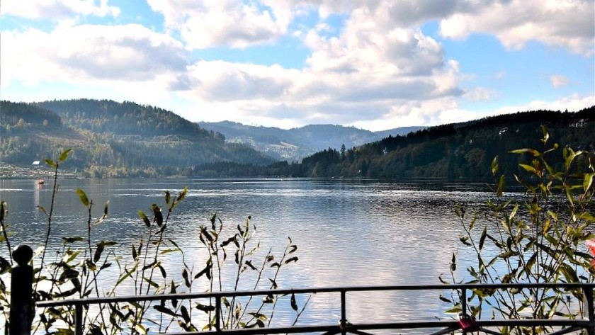 Experience Titisee on a day trip by train