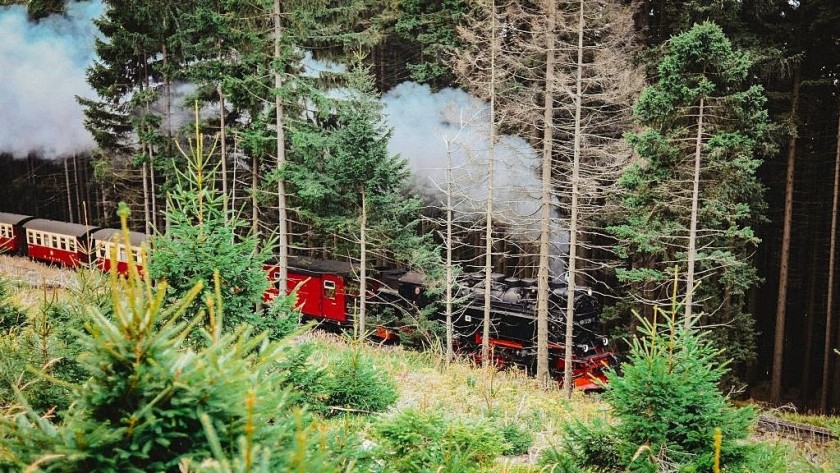 To the Harz Mountain Railway from Erfurt