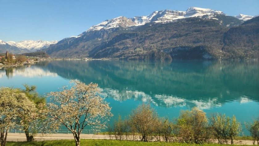 From the Luzern-Interlaken Express on a Grand Tour of Switzerland