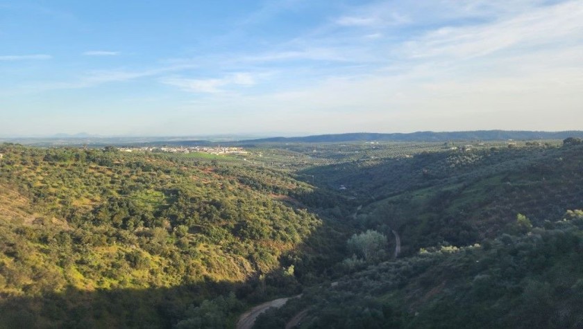 between Madrid and Cordoba
