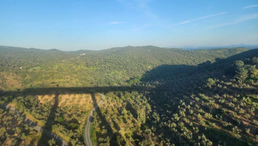 between Madrid and Cordoba