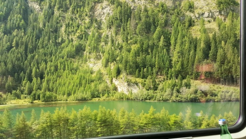 The view from the right of the train in summer #3