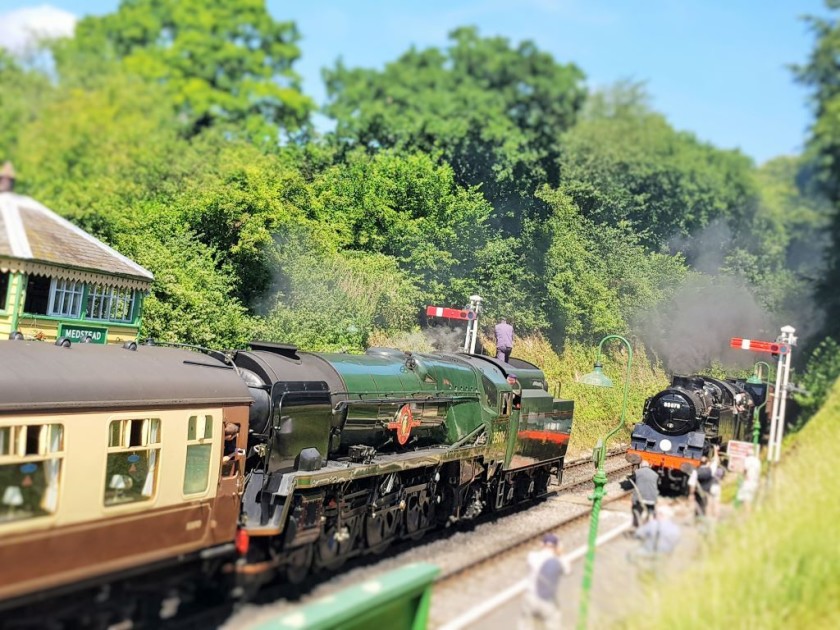 Look up the dates of special gala days on the Mid-Hants railway website