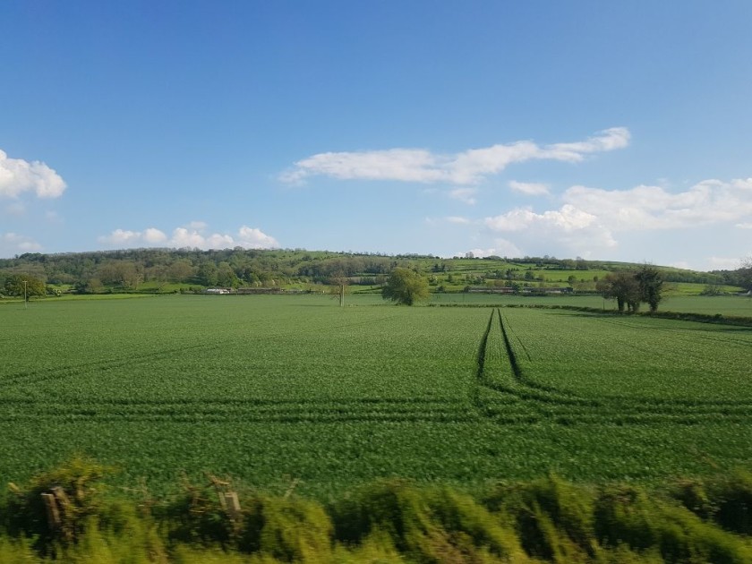 The beautiful countryside near the Somerset and Devon border