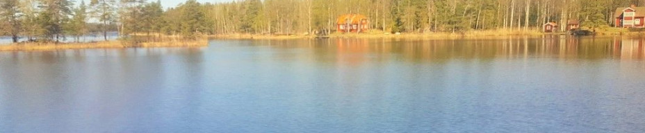 A typical lakeside view from a Stockholm to Copenhagen train